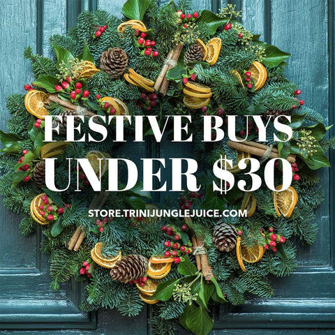 Festive Buys Under $30